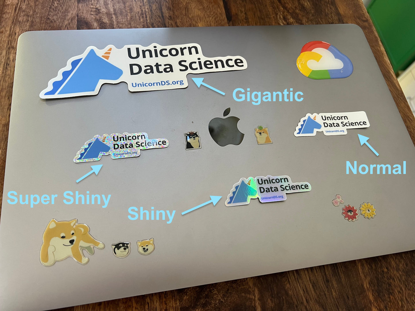 Unicorn Data Science (Super Shiny)